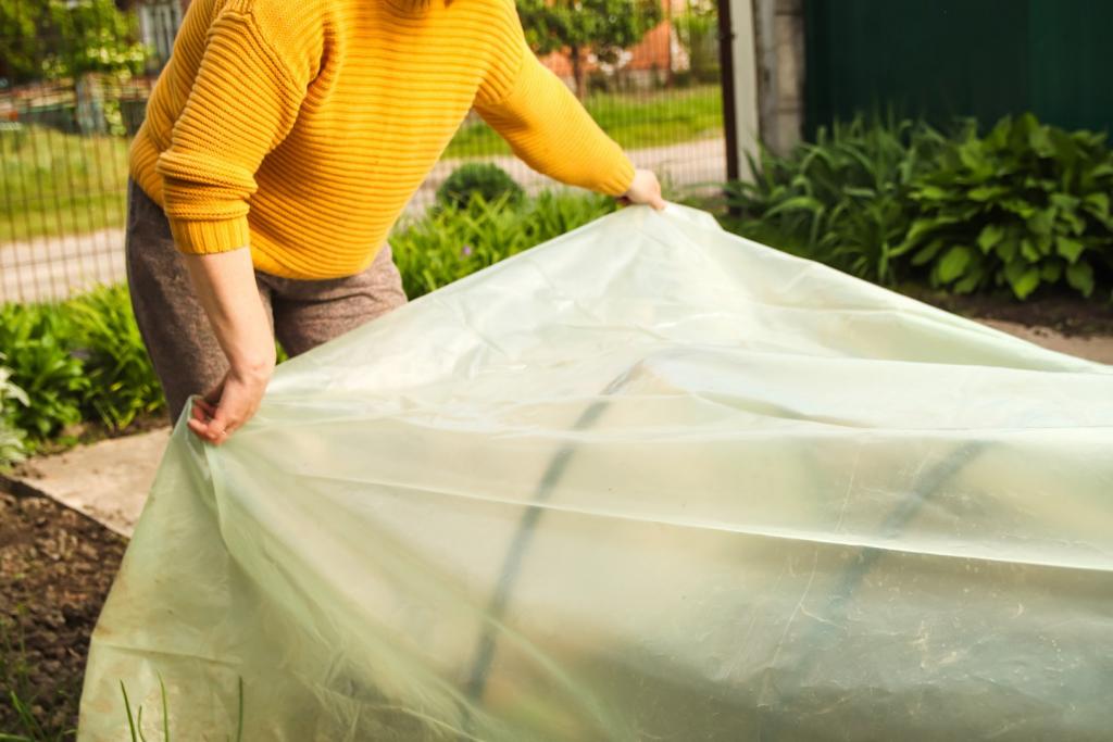 Couvrir les plantes fragiles avec un voile d’hivernage odel o services toulon var
