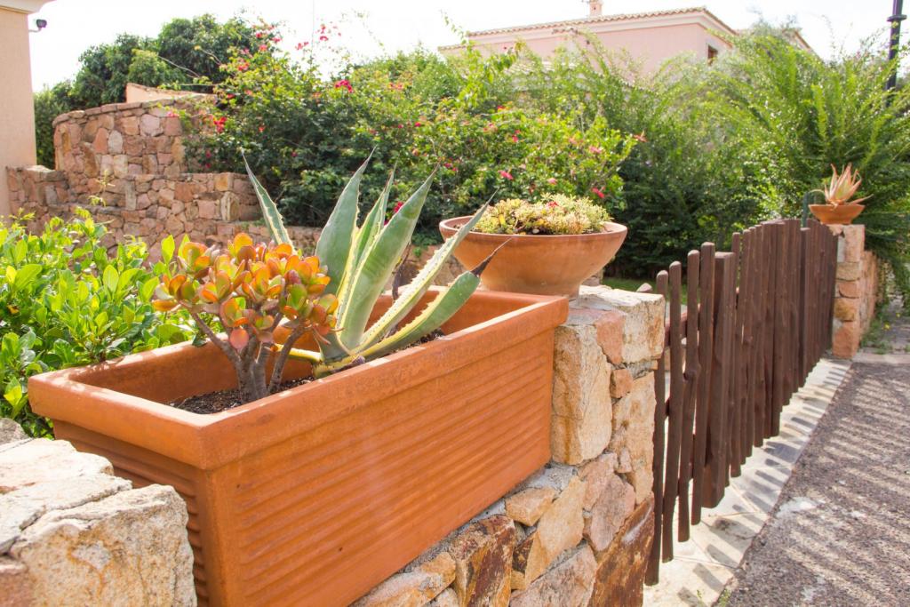 Jardin d'un senior pendant qu’un intervenant effectue le ménage