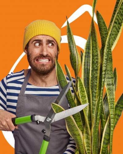 recrutement-service-a-la-personne recrutement-service-a-la-personne